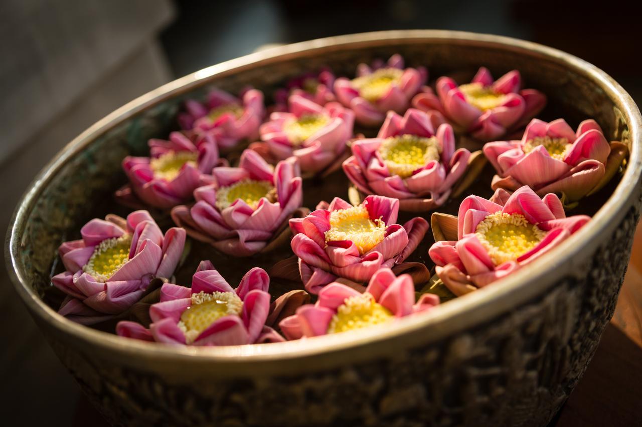 Shintana Saya Residence Siem Reap Dış mekan fotoğraf